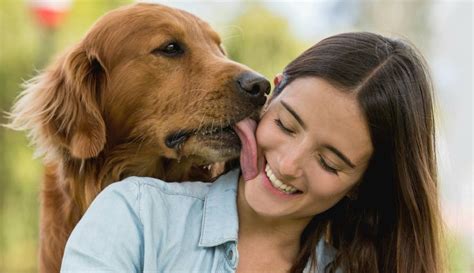 mujeres con perros xxx|Rubia se deja coger por su perro por primera vez